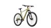 Conway Razz 4.0 Herren 36 cm grün