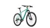 Conway Razz 4.0 Herren 46 cm grün