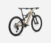 Orbea RISE H30 Baobab Brown-Cosmic Brown (Matt)