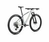 Orbea ALMA M30 Halo Silver (Gloss) - Shark Grey (Matt)