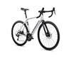 Orbea GAIN D50 Metallic Silver (Matt) - Black (Gloss