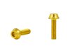 Trek Fastener Trek Water Bottle Bolt M5x16mm Gold Anodi