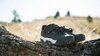 Bontrager Shoe Bontrager Rally MTB 41 Grey/Black