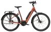 Trek District+ 4 Lowstep L Pennyflake 800WH