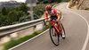 Bontrager Lenker Trek RSL Aero Quest Carbon 31,8mm 44cm Blac