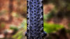 Bontrager Reifen Bontrager Vallnord RSL XR 29x2.40 TLR