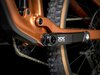 Trek Top Fuel 9.9 XX AXS ML Pennyflake