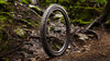 Bontrager Reifen Bontrager Brevard RSL XT 29x2.5 TLR Black