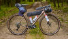 Trek Checkpoint ALR 3 L Dark Carmine