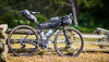 Trek Checkpoint SL 7 AXS M Satin Chameleon Green/Dark W