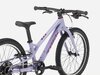 Trek Wahoo 20 Path 20 Lavender Haze