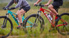 Trek Marlin 6 S 27.5 Matte Lichen/Keswick Green Fade