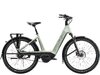 Trek Charter+ 4 N5 B 540 LS XL Lichen Green