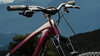 Trek Fuel EX 8 M Lithium Grey/Trek Black Splatter