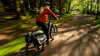 Trek Powerfly FS+ 5 EU XL 29 Blue Sage / Catalina Fog