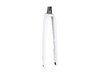 Trek Fork Rigid Trek Domane+ SLR 53R Crystal White