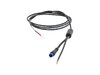 Hyena Power Cable Hyena Light Y-Cable Verve+ LT Black