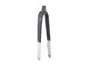 Trek Fork Rigid Domane AL2 48R Plasma Grey Pearl/Carbon