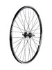 Electra Wheel Rear Electra Townie 7D 26 Gloss Black